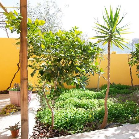 Yellow House-Villetta Con Giardino Oristano Exterior photo